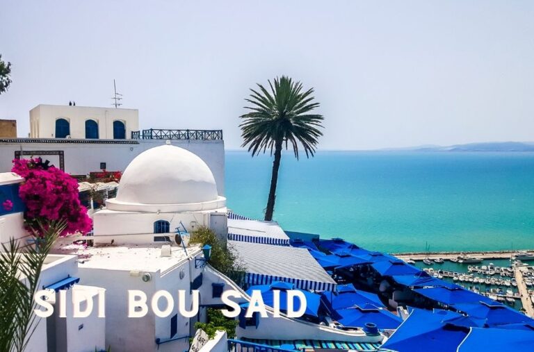 Sidi-Bou-Said-1