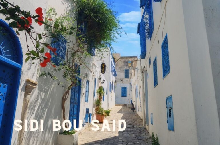 Sidi-Bou-Said-2